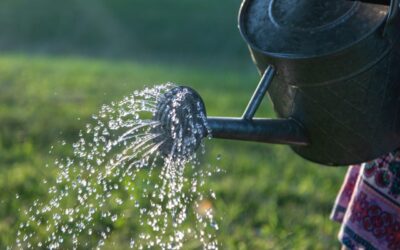 Sécheresse en Sarthe: Mesures de restrictions des usagers de l’eau